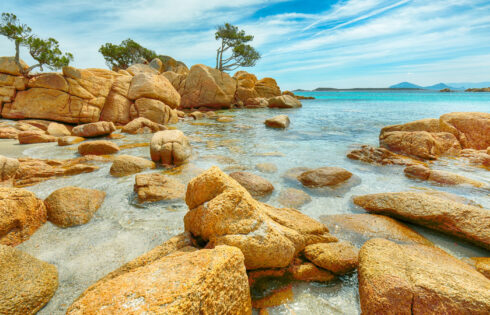 Près de la côte d'une belle ville de Sardaigne, quelqu'un a découvert un trésor historique enfoui dans le sable