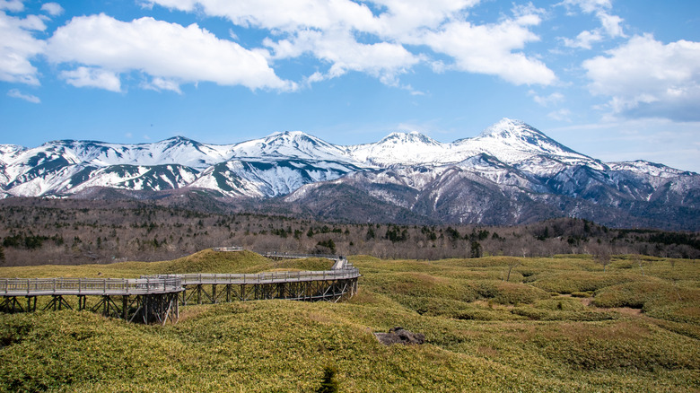 Parc national de Shiretoko
