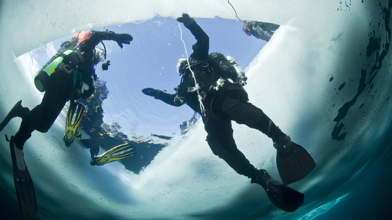 Plongeurs sous l'eau sous un trou dans la glace