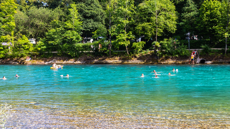 nageurs dans une rivière suisse qui coule à travers la forêt