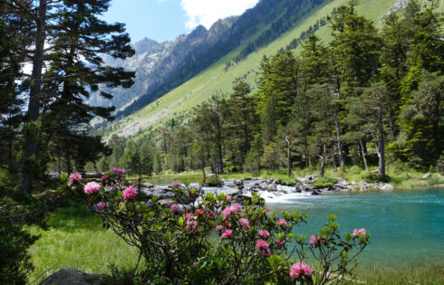 La chaîne de montagnes sous-estimée d'Europe est une alternative abordable, peu fréquentée et pittoresque aux Alpes toute l'année