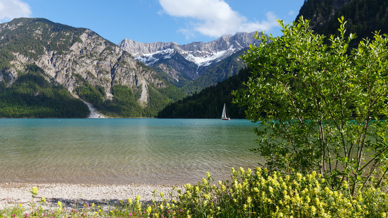 Une vue sur le lac Plansee depuis la rive, avec les montagnes de l'autre côté