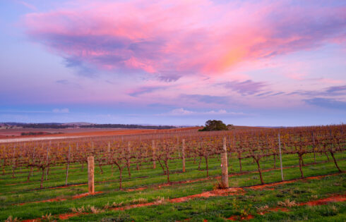 L'une des plus anciennes régions viticoles d'Australie offre des maisons abordables, des sentiers panoramiques et un riesling de classe mondiale