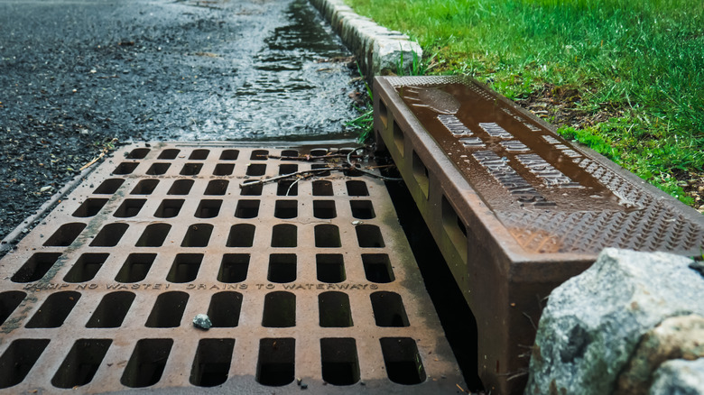 Gros plan d'un égout pluvial au Royaume-Uni qui indique