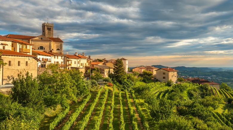 Vue du village de Šmartno à Brda et du vignoble voisin, déclaré monument du patrimoine culturel