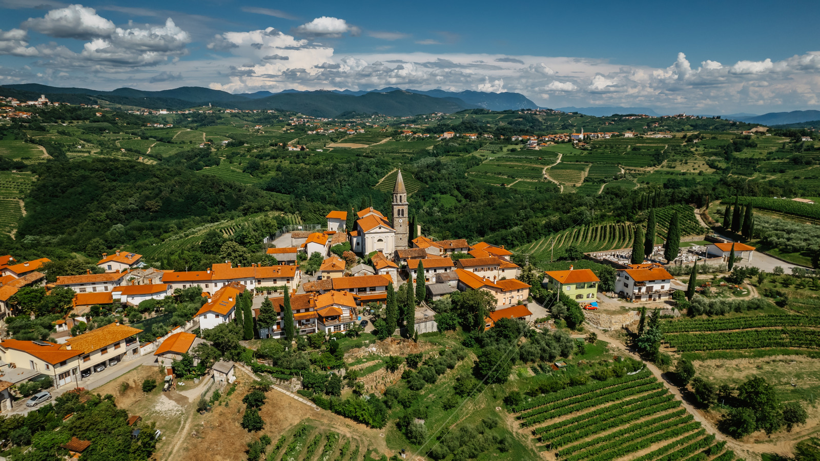 Nichée entre les Alpes et l'Adriatique se trouve la « Toscane de Slovénie » avec des paysages éthérés et des vins de classe mondiale