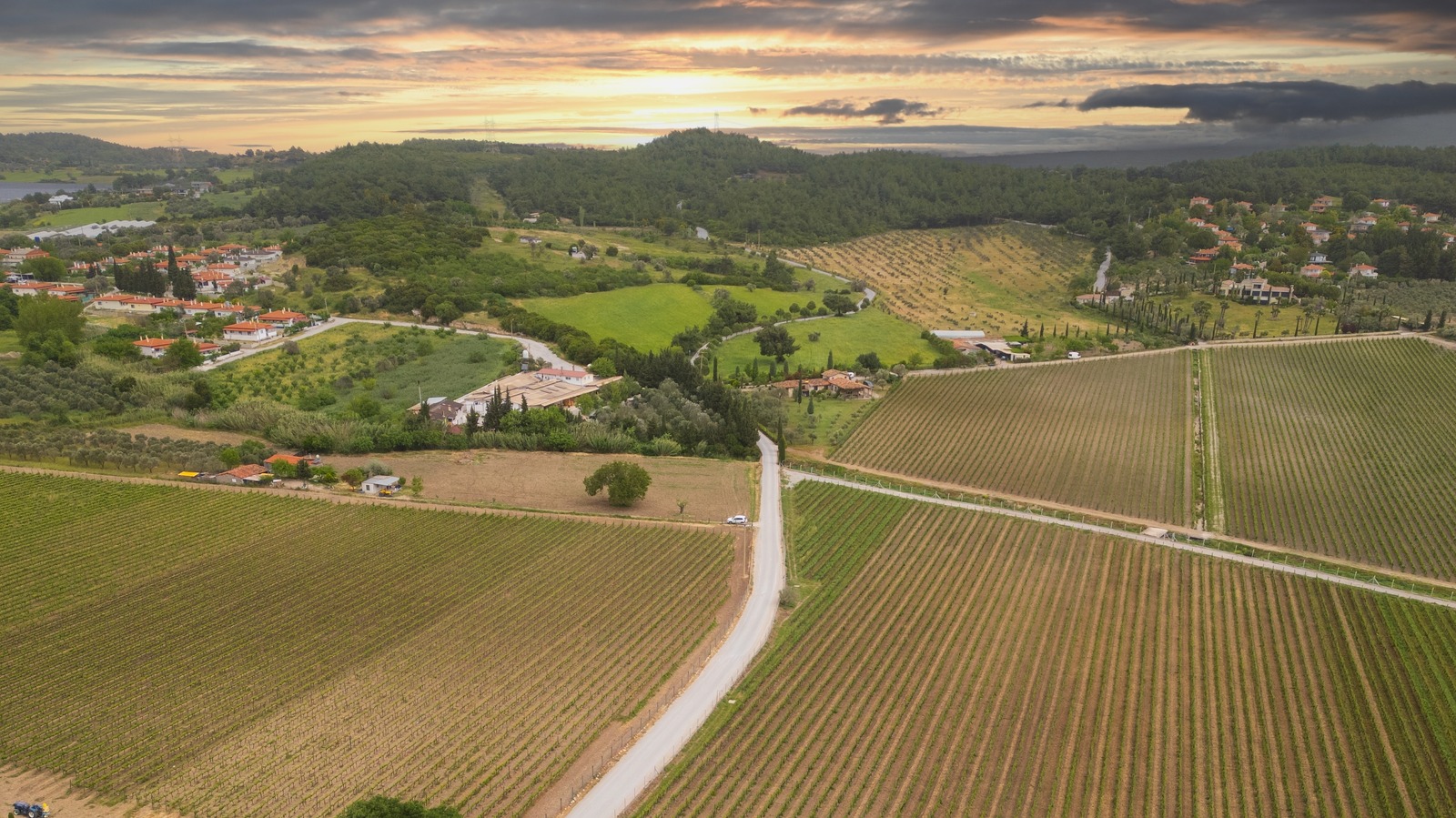 La région viticole côtière d'Europe, remarquablement abordable, est mieux connue sous le nom de « Napa sur la mer Égée »