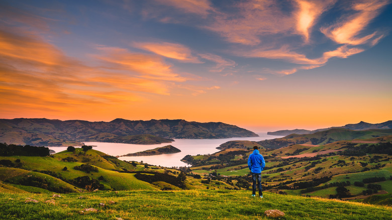 Personne solitaire regardant une baie et un paysage vallonné avec le coucher du soleil, Nouvelle-Zélande
