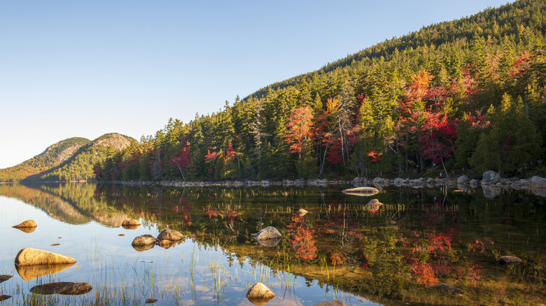 Montagne boisée à côté d'un plan d'eau dans le parc national Acadia