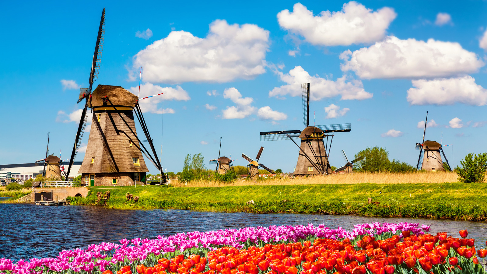 Pris en sandwich entre Amsterdam et Bruxelles se trouve un charmant village plein de moulins à vent et de fleurs sauvages
