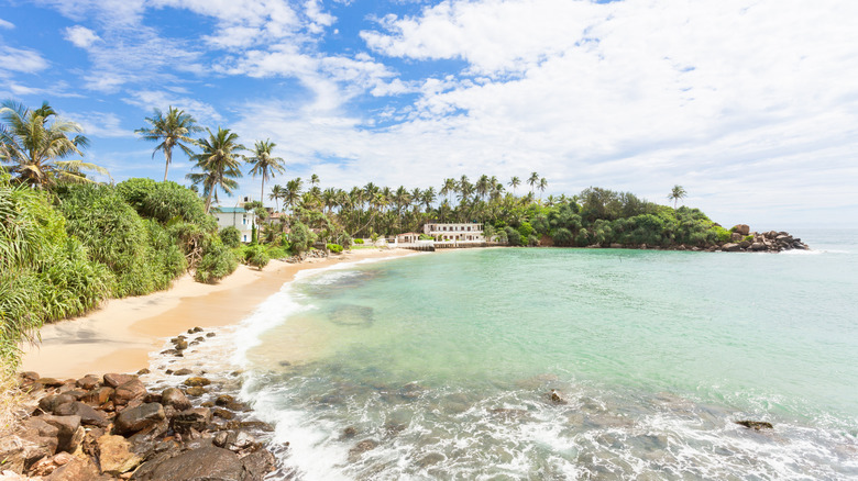 Des palmiers bordent une plage d’Ahangama, au Sri Lanka
