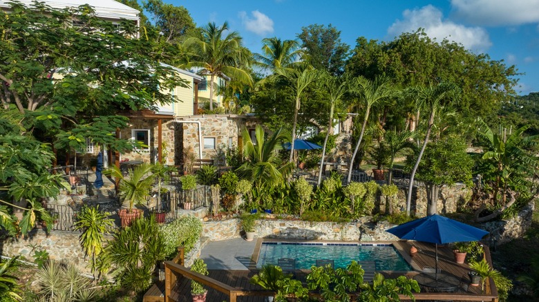 Vue sur la piscine entourée de verdure du Estate Lindholm