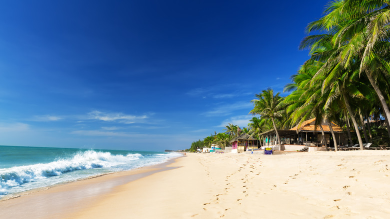 Plage de sable blanc, surf et palmiers de Mui Ne