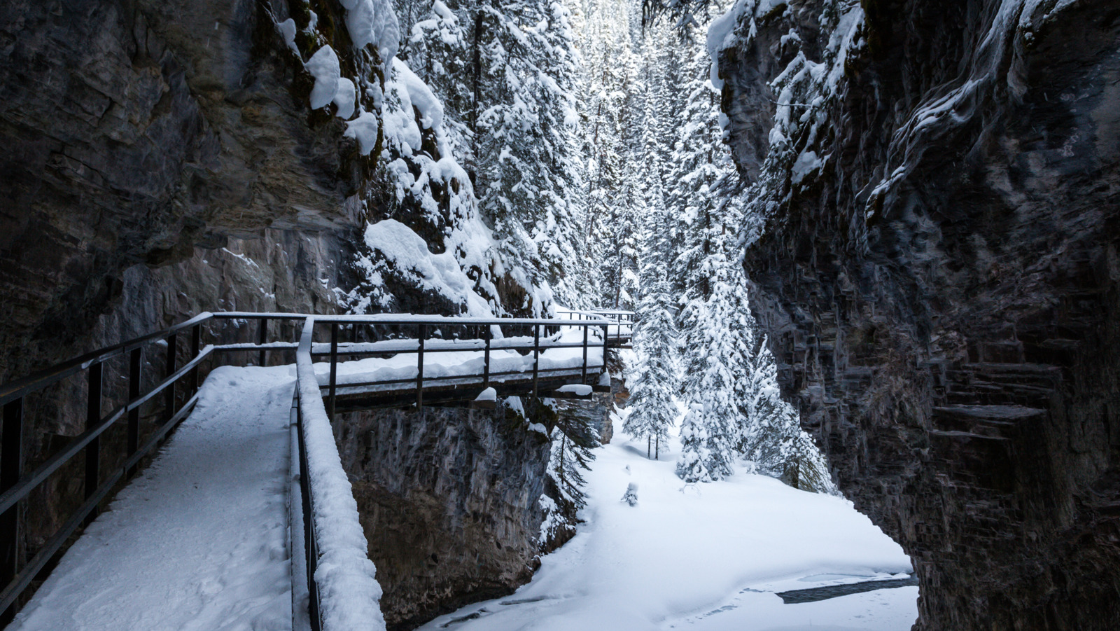Caché dans le parc national Banff se trouve un sentier panoramique comprenant des cascades gelées et une « cathédrale de glace »