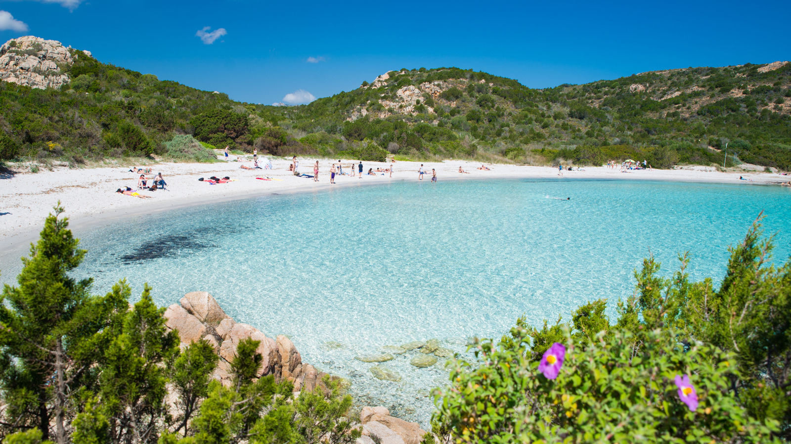 La dernière zone bleue du monde est une ville méditerranéenne d'élite sur la côte italienne avec des plages éthérées