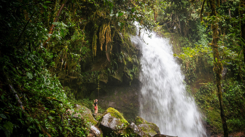 Une cascade dans la jungle de Boquete, Panama