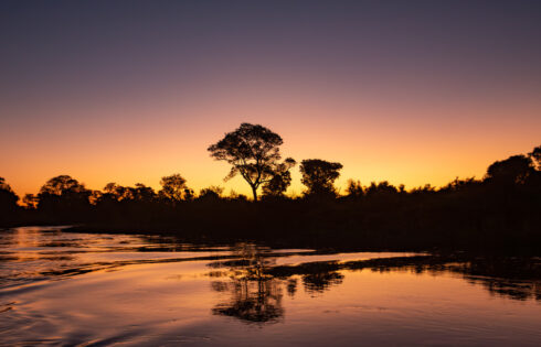 La région appelée « Serengeti brésilien » est une alternative abordable au safari africain