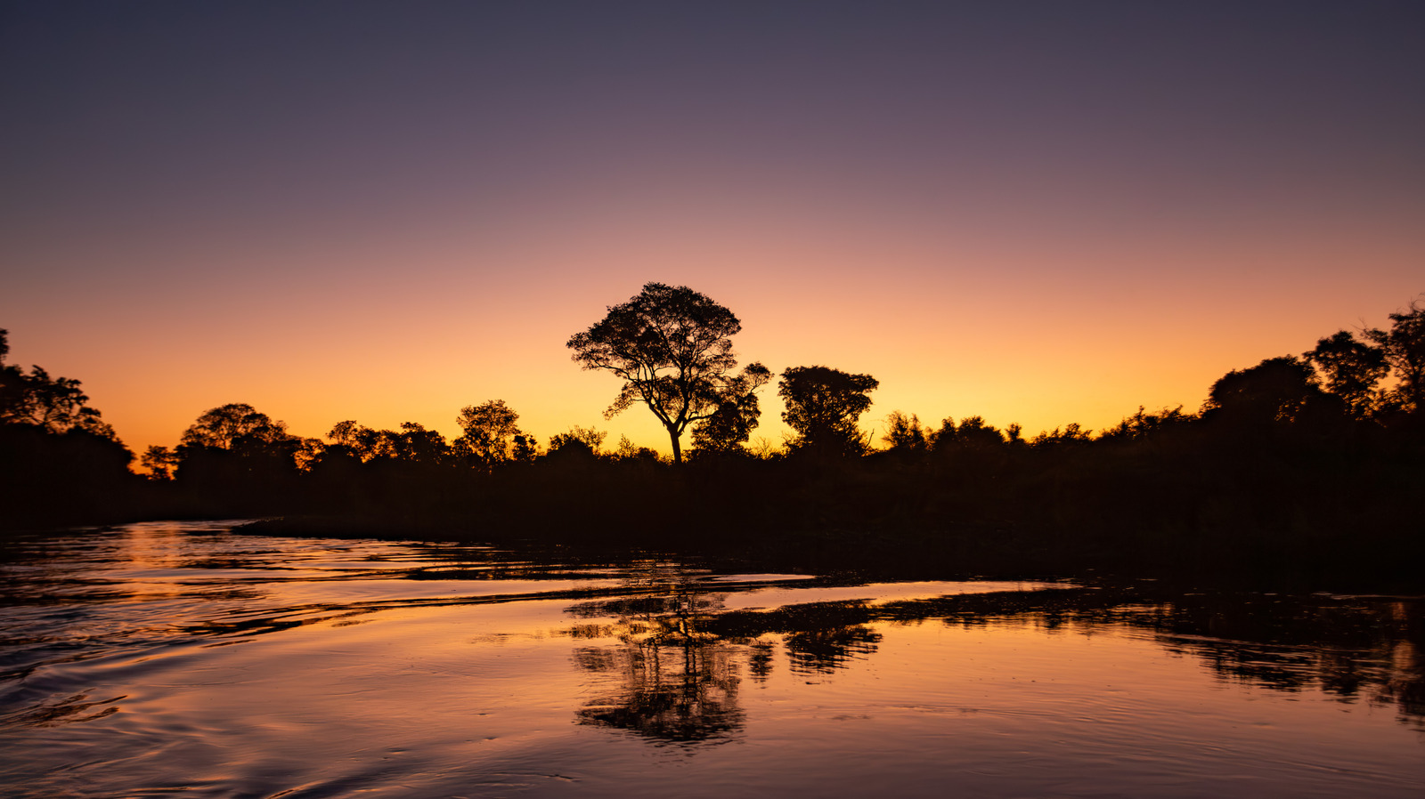 La région appelée « Serengeti brésilien » est une alternative abordable au safari africain