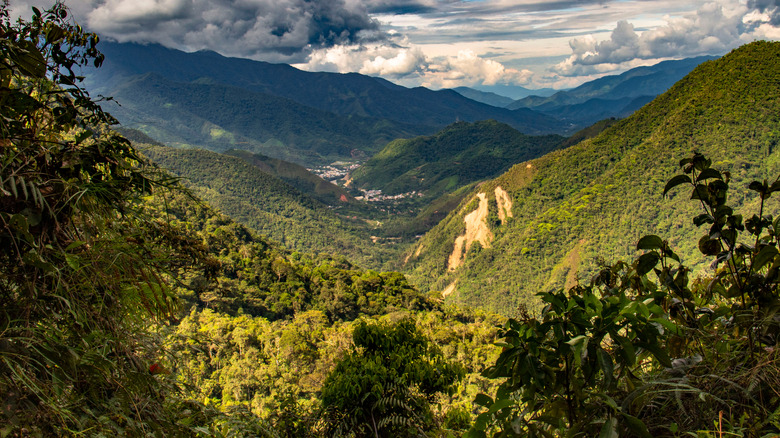 Parc national Podocarpus, près de Vilacabamba, Équateur