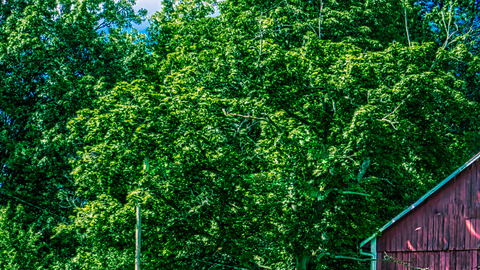 Le village confortable de l'Ohio près d'Akron offre le charme d'une petite ville, des magasins locaux et des divertissements en plein air