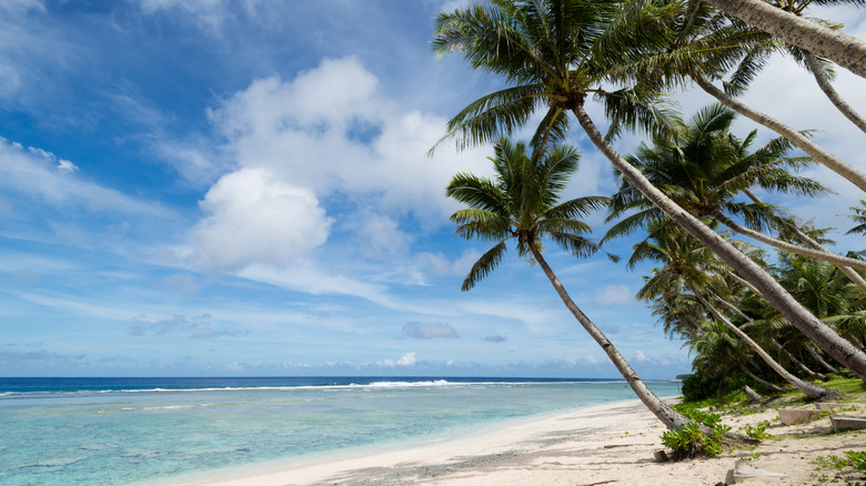 Plages blanches et eaux bleues claires sur fond de ciel bleu, avec des palmiers penchés d'un côté