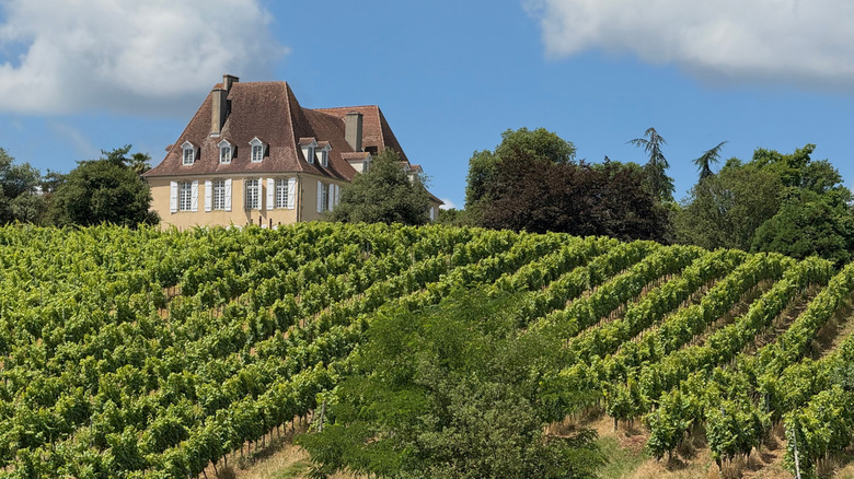Vignobles Madiran à Crouseille, France avec une maison provinciale