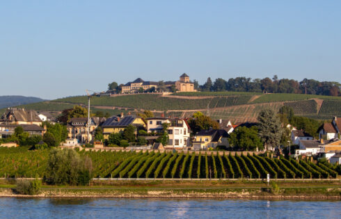 Le meilleur domaine viticole d'Europe en 2025 est un palais historique de la vallée du Rhin avec des événements, de la nourriture et une cave vieille de 900 ans