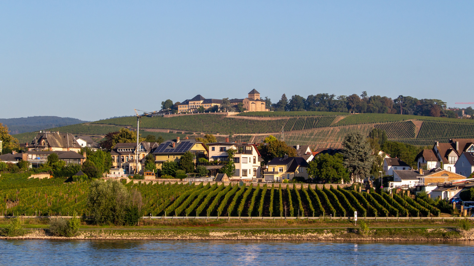 Le meilleur domaine viticole d'Europe en 2025 est un palais historique de la vallée du Rhin avec des événements, de la nourriture et une cave vieille de 900 ans