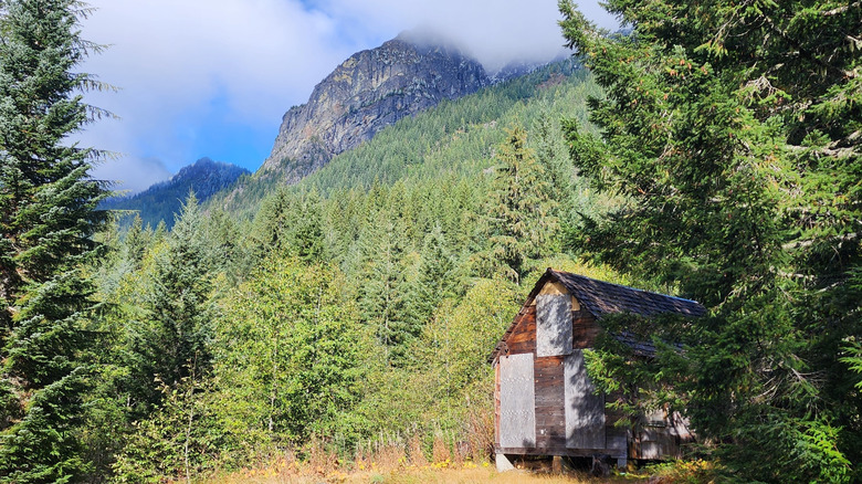 Cabane abandonnée dans la ville fantôme de Monte Cristo, Washington