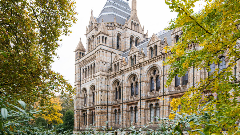 L'extérieur du Musée d'Histoire Naturelle de Londres entouré d'arbres