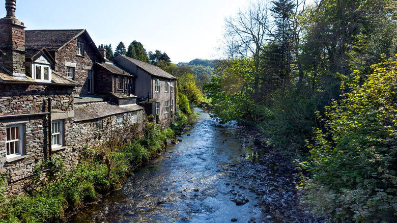Cottages en pierre au bord d'une voie navigable et d'arbres à Grasmere
