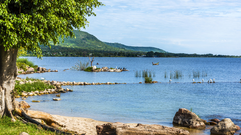 Les collines descendent jusqu'aux rives de l'île Mfangano, sur le lac Victoria au Kenya