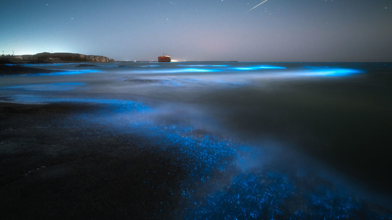 Eaux bioluminescentes avec un navire et une île en arrière-plan