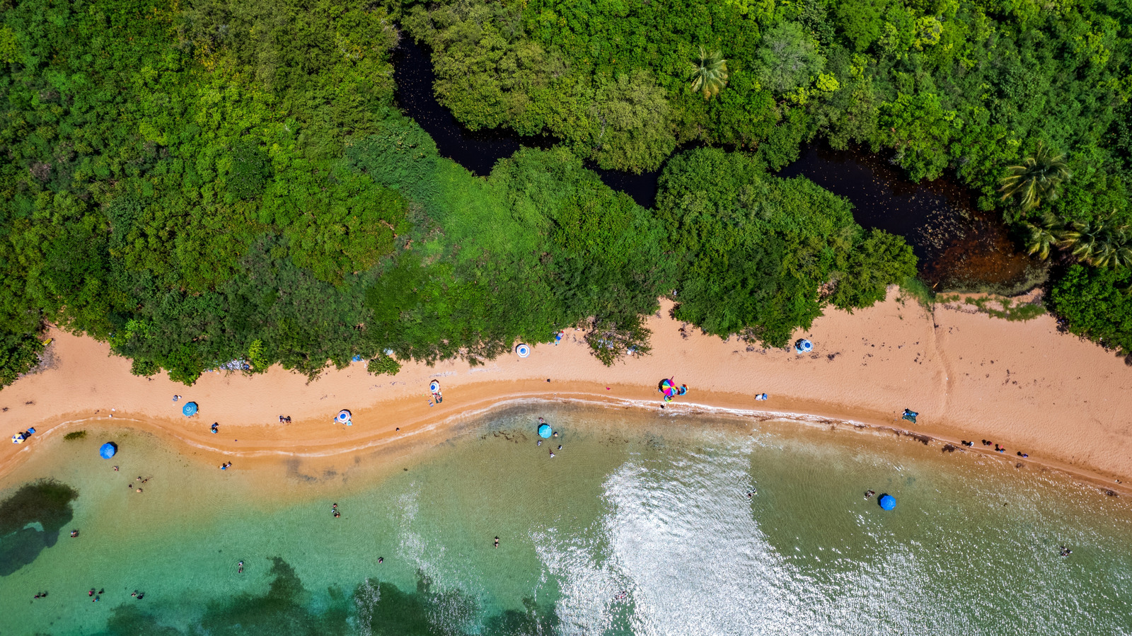 L'alternative de San Juan à Porto Rico est une baie bioluminescente avec des fruits de mer, des boutiques et des souvenirs