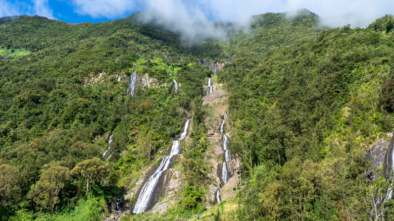 Cascade de Bridal Veil Falls traversant la forêt verte de l'île de la Réunion