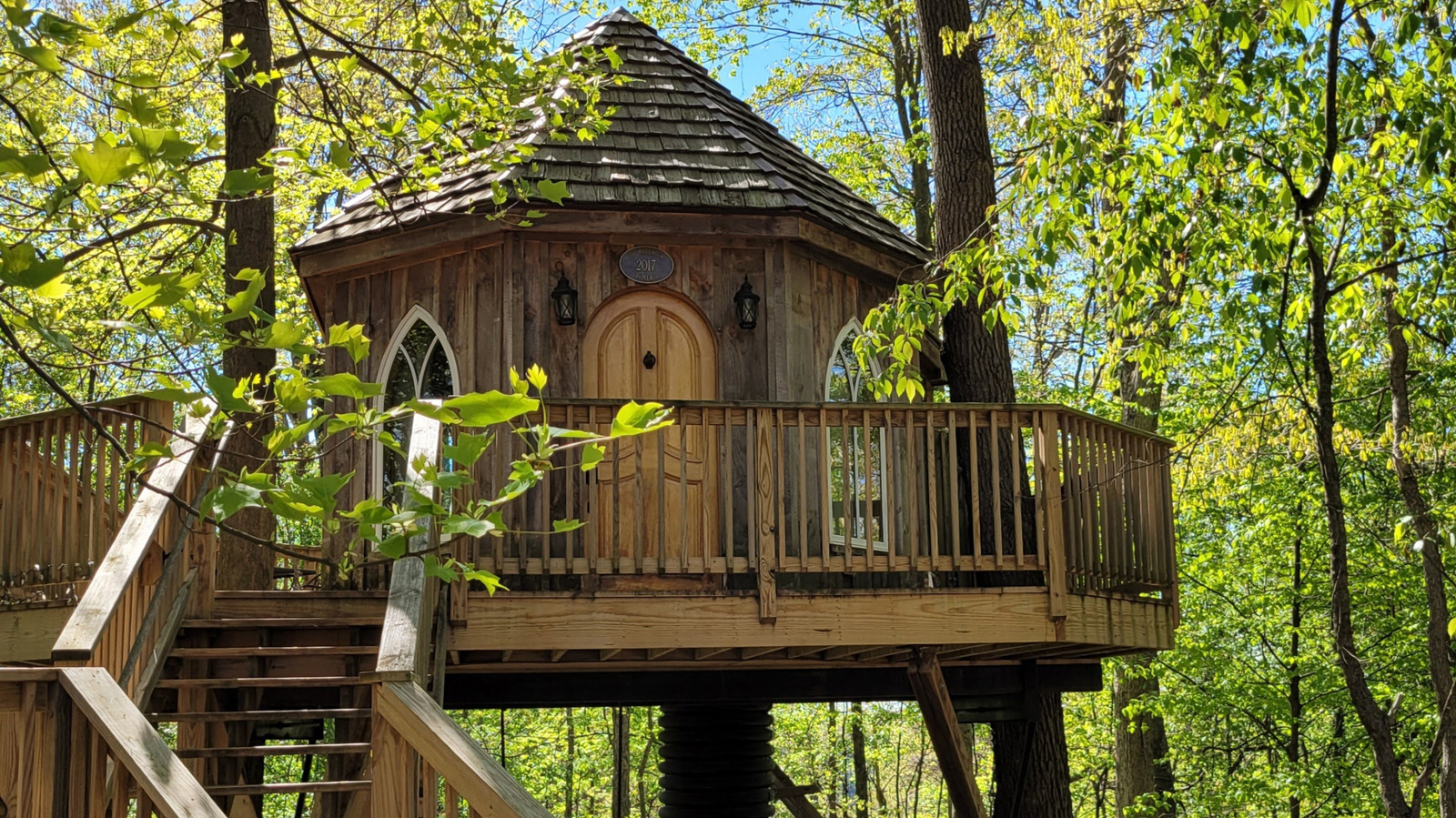À mi-chemin entre Cleveland et Columbus se trouve l'escapade dans les arbres unique de l'Ohio avec l'ambiance de cabine la plus confortable