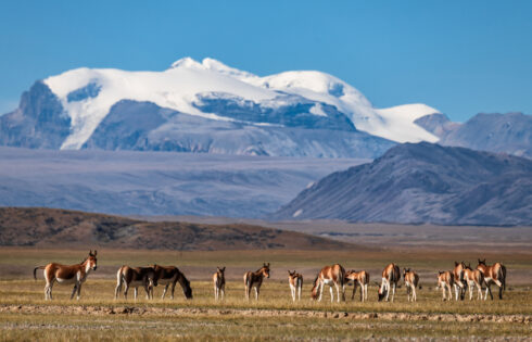 C'est le plus grand parc national de Chine (et il est 14 fois plus grand que Yellowstone)
