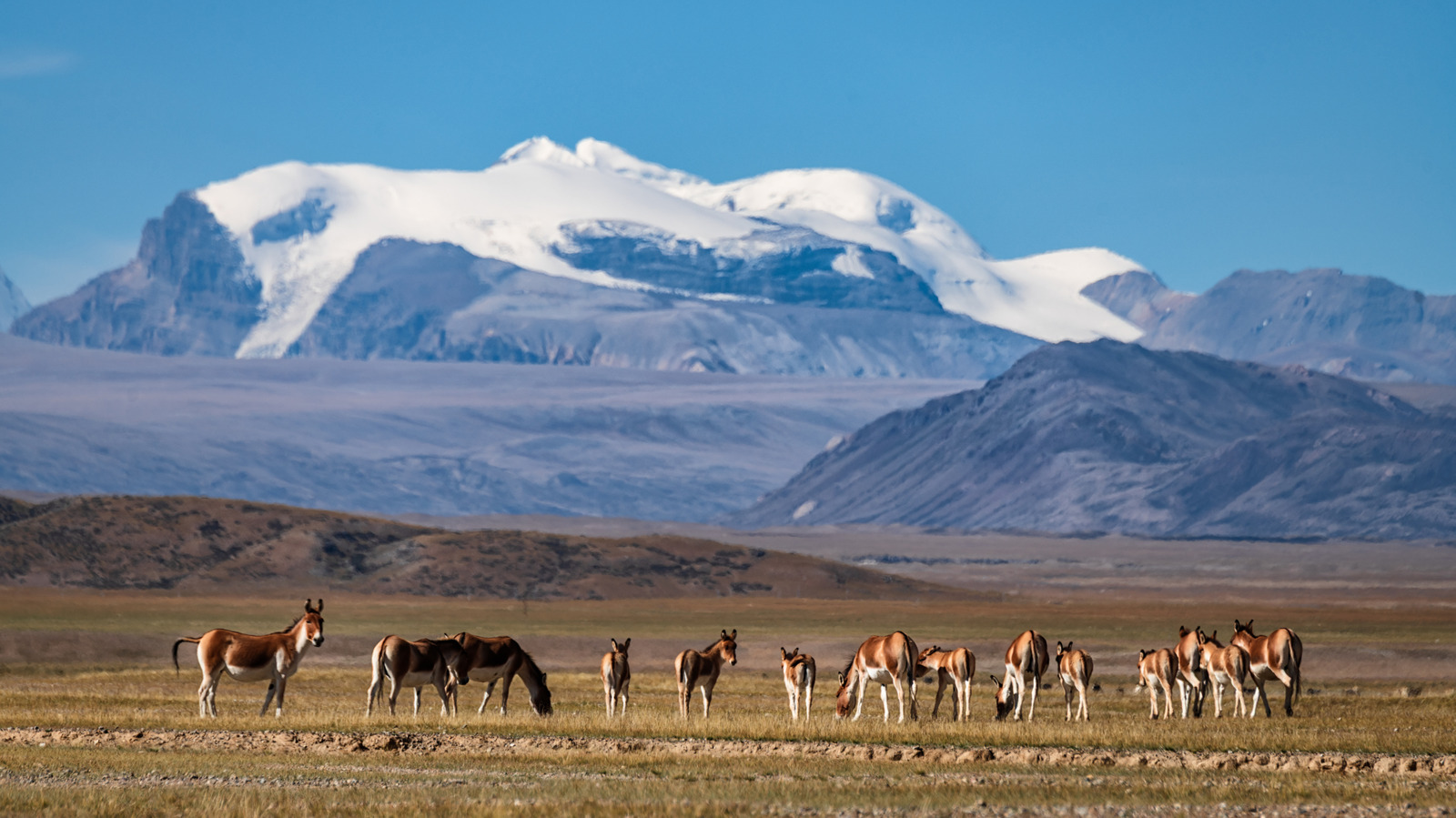 C'est le plus grand parc national de Chine (et il est 14 fois plus grand que Yellowstone)