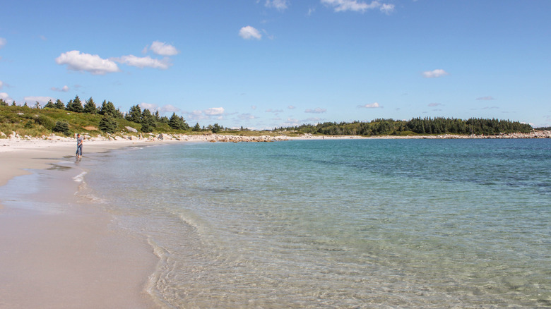 Eaux claires et sable blanc à Crescent Beach