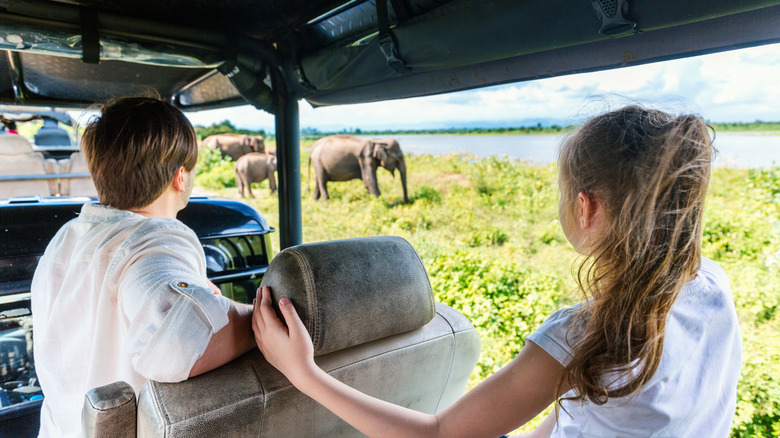 Des gens aperçoivent des éléphants depuis une jeep de safari dans le parc national d'Udawalawe au Sri Lanka