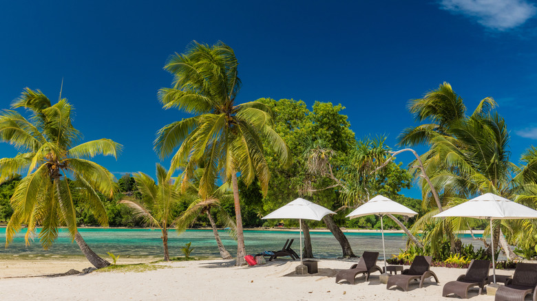 Chaises de plage et parasols sur sable blanc, sur fond de ciel bleu, de palmiers et d'eaux turquoise