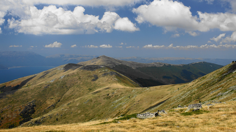 Crêtes de montagne dans le parc national de Pelister près de Bitola, Macédoine du Nord