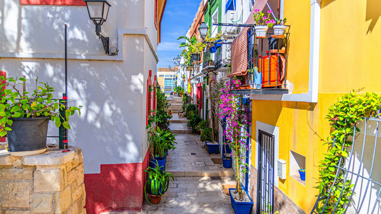 Rues étroites bordées de bâtiments colorés et de pots de fleurs