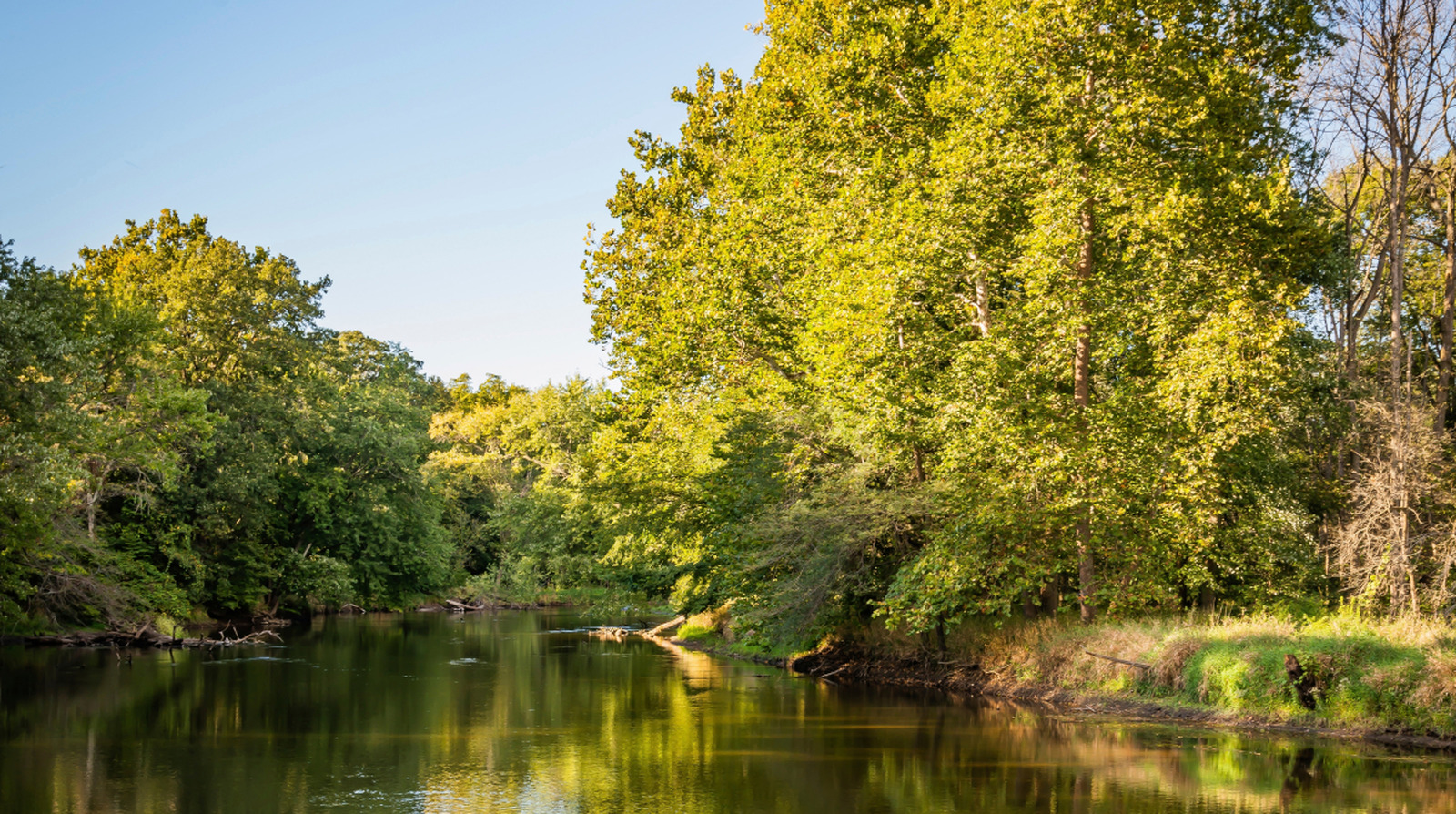 Entre Chicago et Fort Wayne se trouve un parc d'État pittoresque du Midwest avec kayak, sentiers et camping