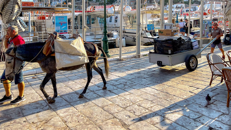 Vue d'un âne tirant un chariot à bagages sur l'île sans voiture d'Hydra, Grèce