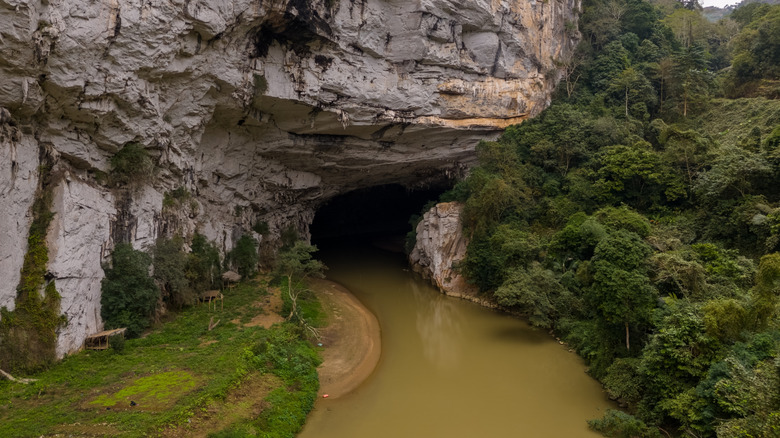 Entrée de la grotte à travers des cathédrales en calcaire entourées de forêts