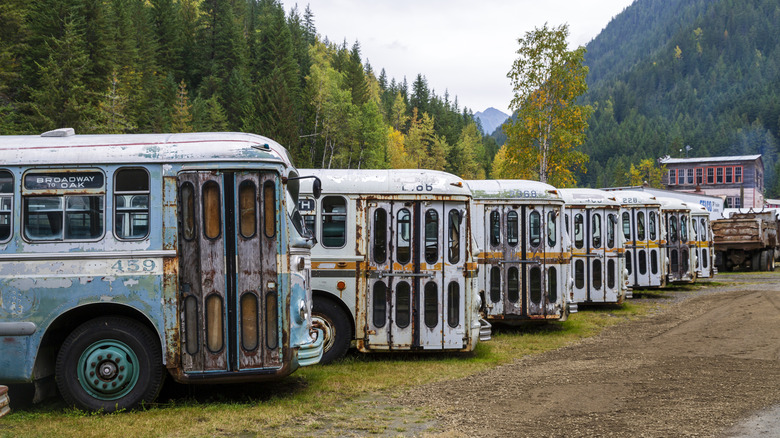 autobus d'époque alignés à Sandon, en Colombie-Britannique