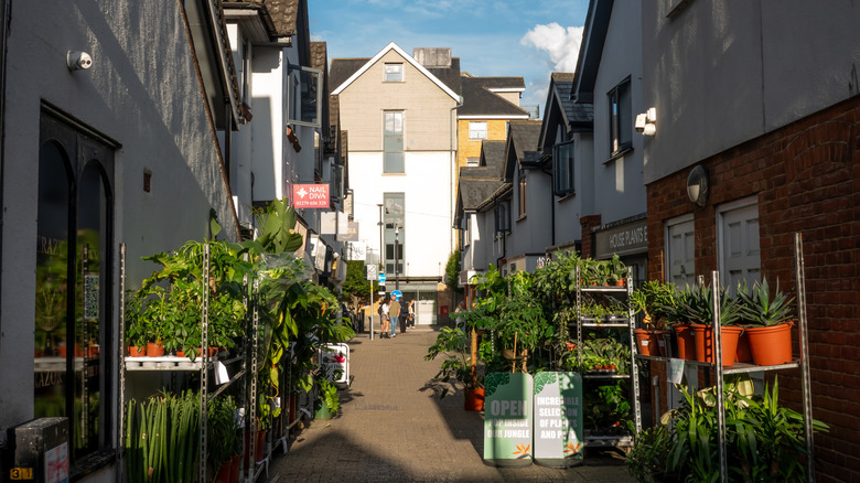 Une ruelle de Bishop's Stortford bordée d'usines et de boutiques