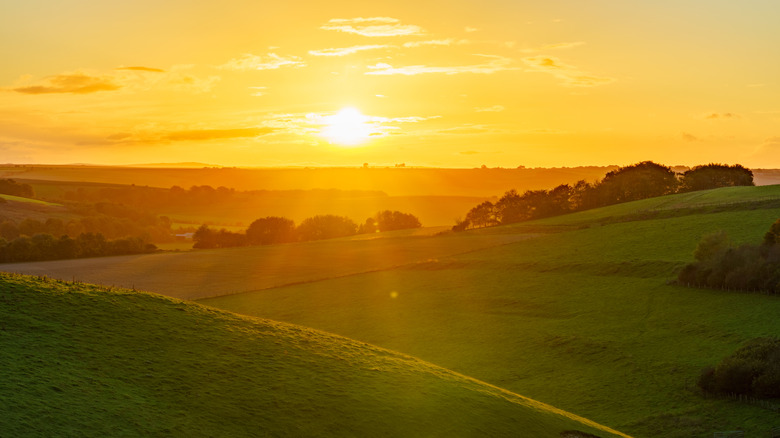 Coucher de soleil sur les champs, les collines, les arbres et les crêtes du paysage national des North Wessex Downs