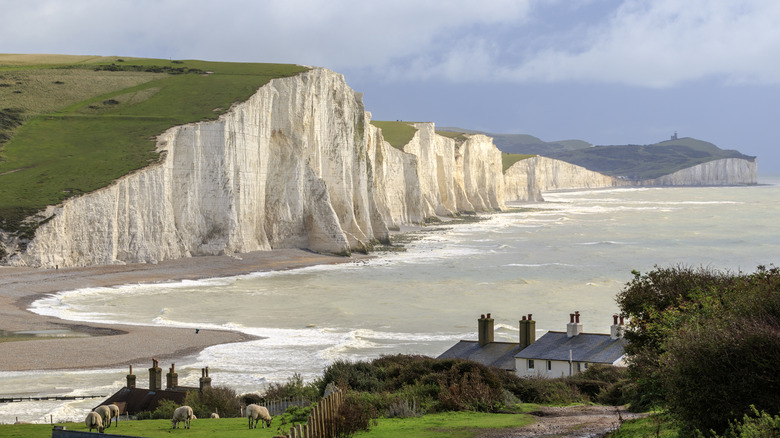 Majestueuses falaises blanches crayeuses des Sept Sœurs dans le parc national des South Downs